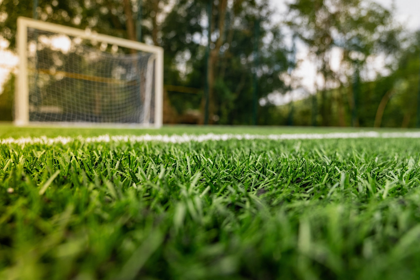Sports turf supply in San Juan, TX